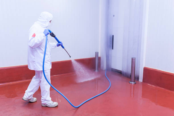 Best Roof Washing  in Union City, GA